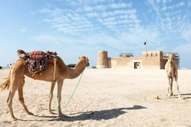 North of Qatar Tour to Olafur Eliasson Zubara Fort Jumail Village - What to bring for a more comfortable day