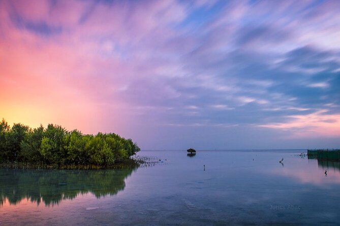 North of Qatar Tour, Zubara Fort, Mangroves, Jumail Village - Purple Island and the stillness of the mangroves