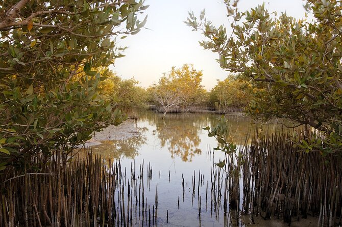 North of Qatar Tour, Zubara Fort, Mangroves, Jumail Village - A private tour with a brisk schedule