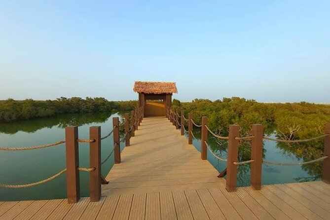 North of Qatar Tour|Zubara Fort, Purple Island & Mangroves Colony - Purple Island and the changing tide