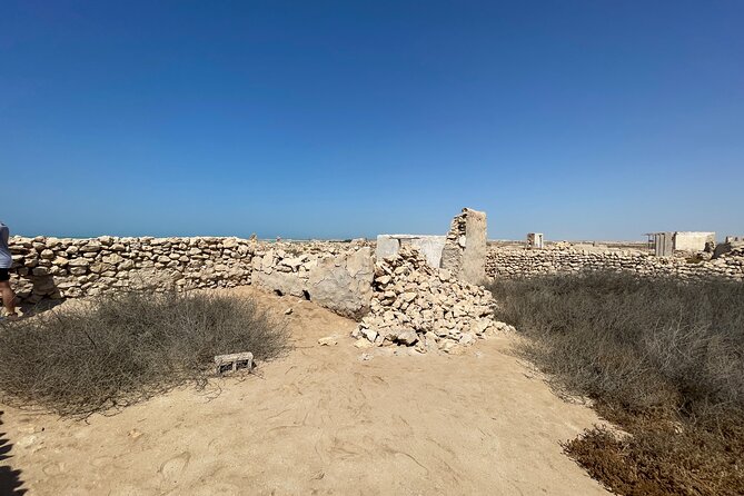 North Qatar Guided Expedition to Nature Charms - Who Will Enjoy This Tour Most?