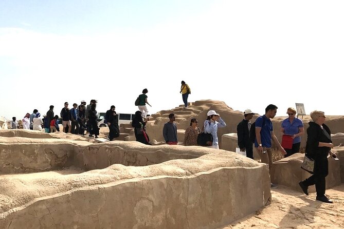 North Qatar Half-Day Tour: Al Zubarah, Purple Island & Mangroves - Why go north when Doha already has so much to see