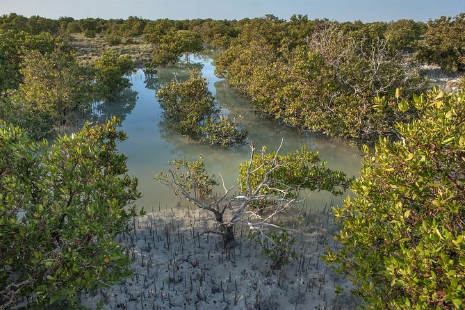 North Qatar Half-Day Tour: Al Zubarah, Purple Island & Mangroves - Al Thakhira Beach and a quieter coastal view