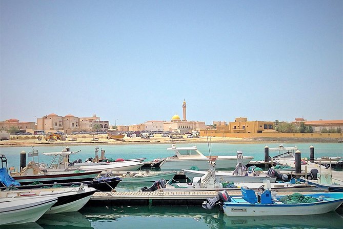 North Qatar Half-Day Tour: Al Zubarah, Purple Island & Mangroves - Al Zubarah Fort, the reason to make the long drive