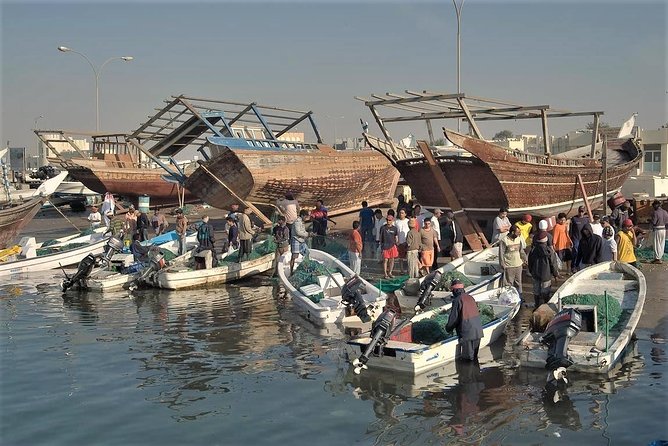 North Qatar Half-Day Tour: Al Zubarah, Purple Island & Mangroves - Timing, clothing, and practical planning