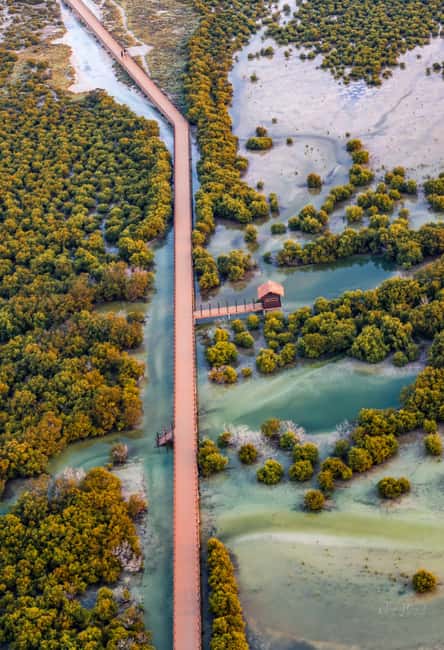 North Qatar: Zubara Fort, Jumail Village, Thakhira Mangroves - The drive is part of the experience