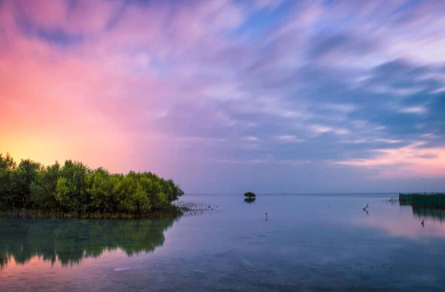 North Qatar: Zubara Fort, Jumail Village, Thakhira Mangroves - Al Khor harbor and Qatar’s coastal past