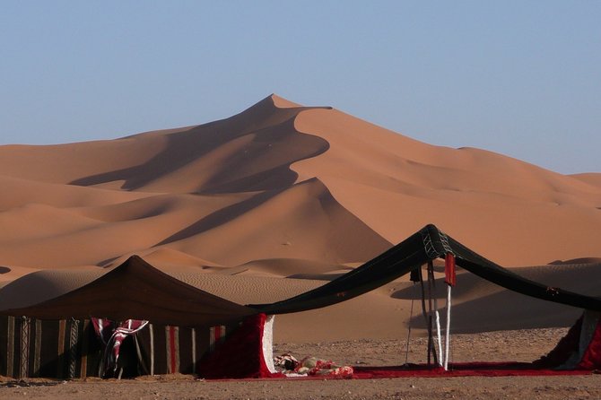 Premium Full-Day Safari, Dune Bash, Camel Ride and BBQ Meal in Desert Camp - Quick take: what you are really getting