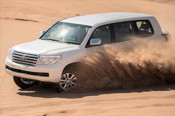 Premium Full-Day Safari, Dune Bash, Camel Ride and BBQ Meal in Desert Camp - Is $193 a fair price?