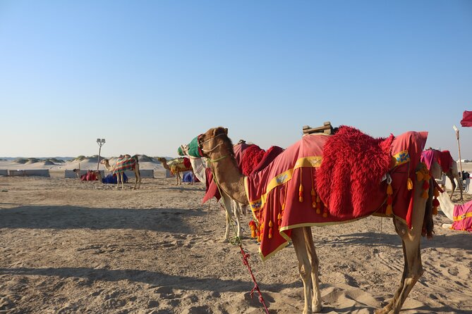 Private Desert Safari Tour 4 hours - Starting at Sealine Beach