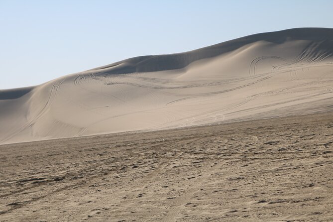 Private Desert Safari Tour 4 hours - The personal touch from guide Saeed