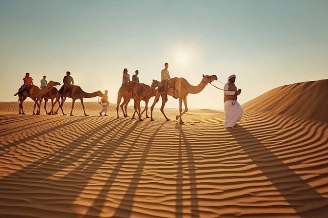 Private Doha Desert Safari and Inland Sea Tour, Best adventures - What dune bashing is really like