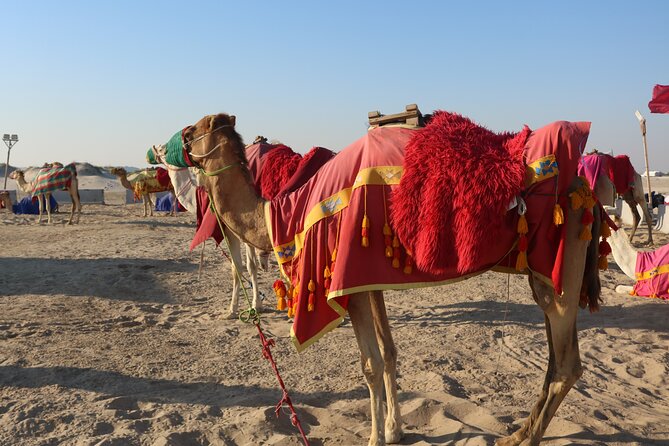 Private Dunes Bashing | Desert Safari | Sand Boarding - Key points to know before you book