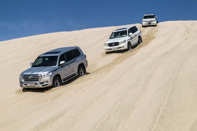 Private Full Day Desert Safari - Who will enjoy this full-day safari