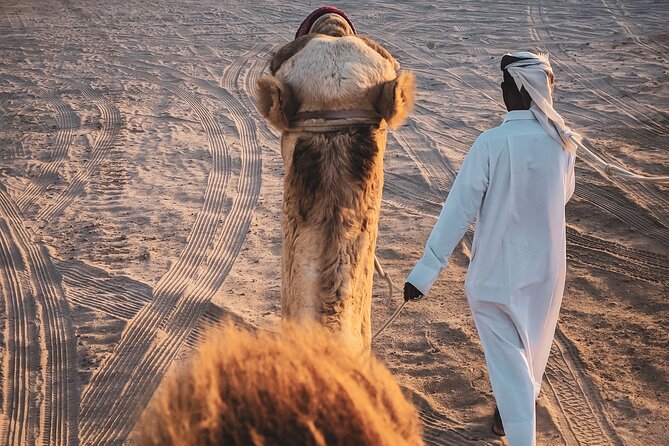 Private Full Day Desert Safari Dinner and Camel Ride in Doha - Dinner at a desert camp