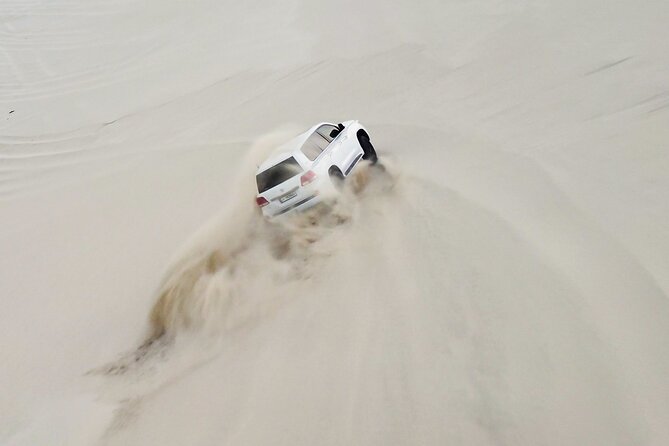 Private Full Day Desert Safari Dinner and Camel Ride in Doha - The private car changes the feel of the day
