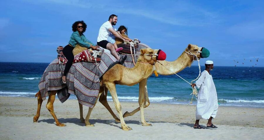 Private Full-Day Desert Tour - Reaching Sealine in a private 4WD