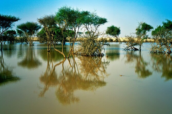 Private Full Day Guided Tour in Qatar North and West - Al Zubara, Qatar’s most important heritage stop