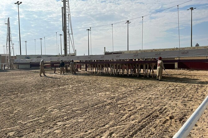Private Full Day Guided Tour in Qatar North and West - Al Jumail and the remains of village life