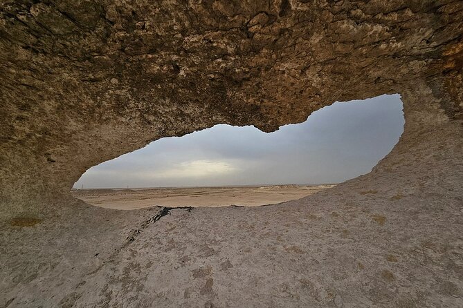 Private Full Day Guided Tour in Qatar North and West - Al Shahaniya and the camel-racing tradition