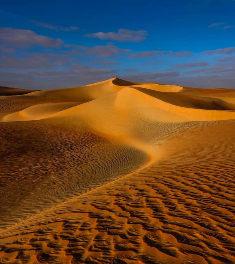 Private Gentle Sands Desert Experience Without Dune Bashing - Falconry gives the trip a cultural focus
