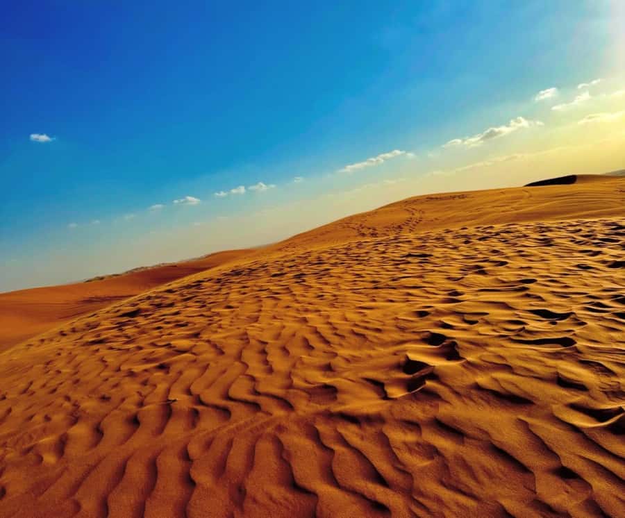 Private Gentle Sands Desert Experience Without Dune Bashing - Sandboarding, tea, and the simple pleasures