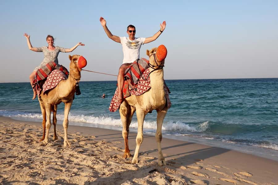Private Half-Day Desert Safari Tour+Camel Ride - Is $203 per person good value?