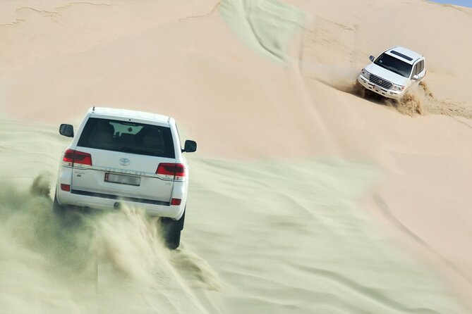 Private Half Day Desert Safari with Camel Ride - Sealine Beach: your first desert-and-coast stop