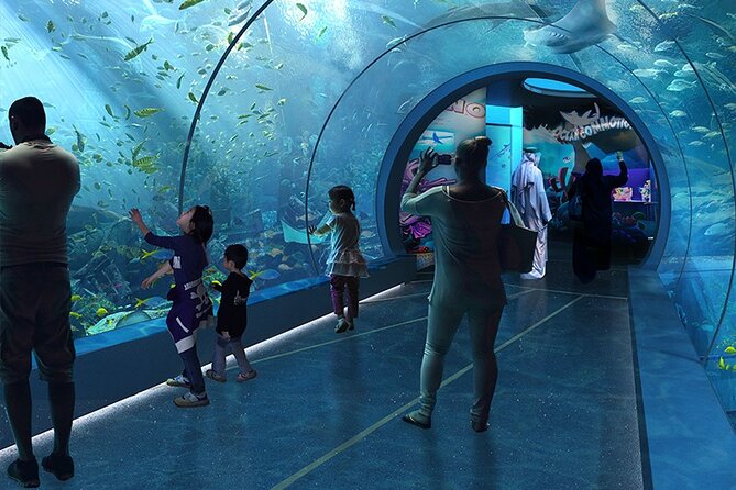 Private Hamad Port Tour in Mesaieed |Aquarium |Maritime Museum - Why Hamad Port is more than a place for cargo