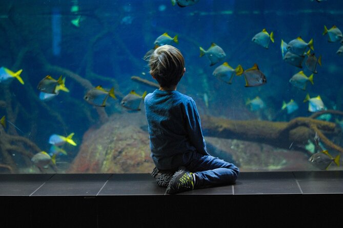 Private Hamad Port Tour in Mesaieed |Aquarium |Maritime Museum - The maritime museum explains Qatar’s seafaring past