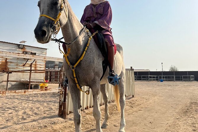 Private Horse and Camel Riding Experience in Doha - Practical preparation before pickup
