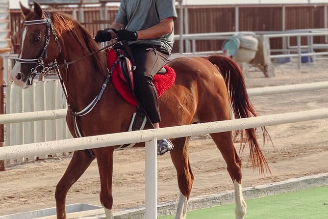 Private Horseback Riding Experience in Doha - Key things to know before you book