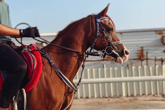 Private Horseback Riding Experience in Doha - Leaving Doha for the Sealine Desert