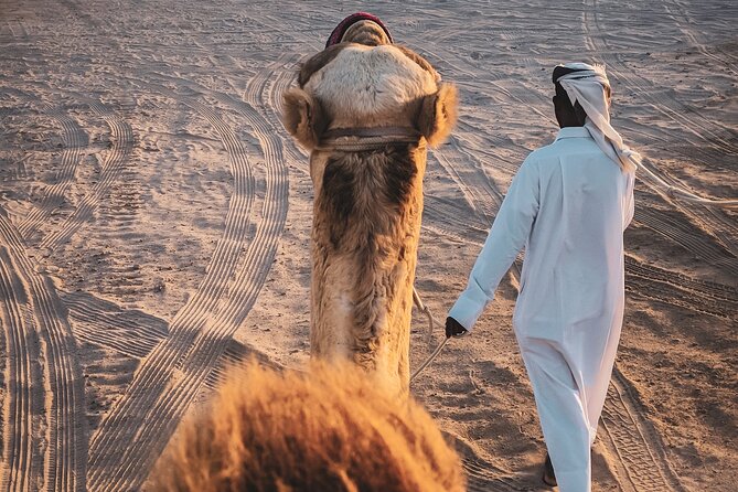 Private Horseback Riding Experience in Doha - What makes this more than a photo stop