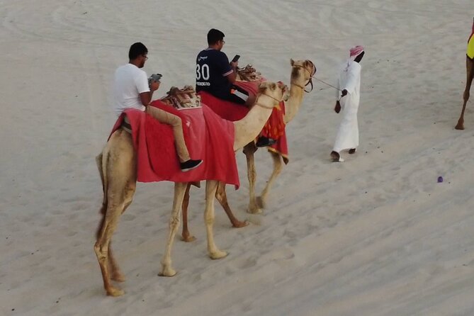 Private Horseback Riding Experience in Doha - Who will get the most from this ride