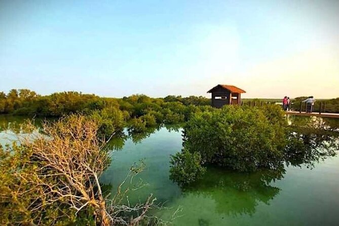 Private North of Qatar Tour - Al Khor gives you a quick coastal introduction