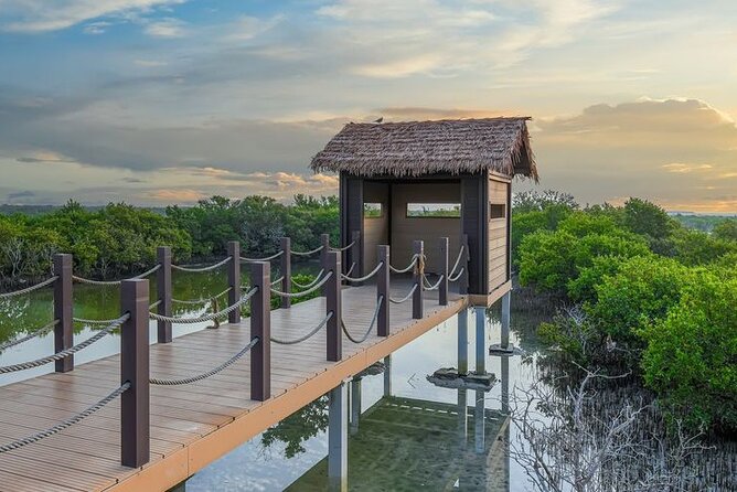 Private North of Qatar Tour - Purple Island is the best stop for natural scenery