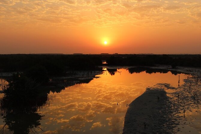 Private North of Qatar: Zubara Fort | Jumail Village | Al-Thakhira Mangroves - Al Thakhira Mangroves: A Short Look at Qatar’s Coastal Forest