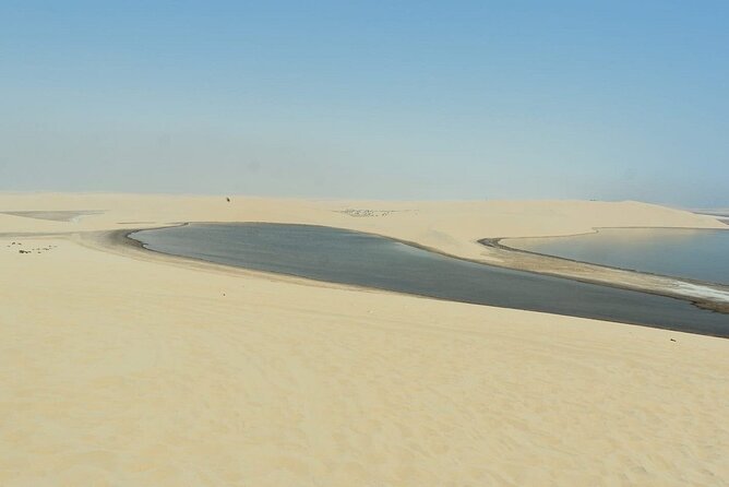Private Sealine Beach Tour with Desert Activities - Guides, languages, and the private vehicle