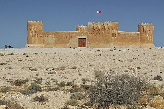 Private Tour in Northern Qatar - Why northern Qatar deserves a half-day