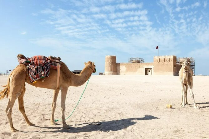 Private Tour in Northern Qatar - Meeting Qatar’s past at Al Zubarah Fort
