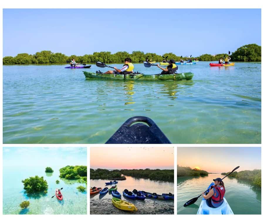 Qatar: Al Thakira Mangrove Forest Kayaking Tour - Arriving at Al Thakira Mangrove Forest