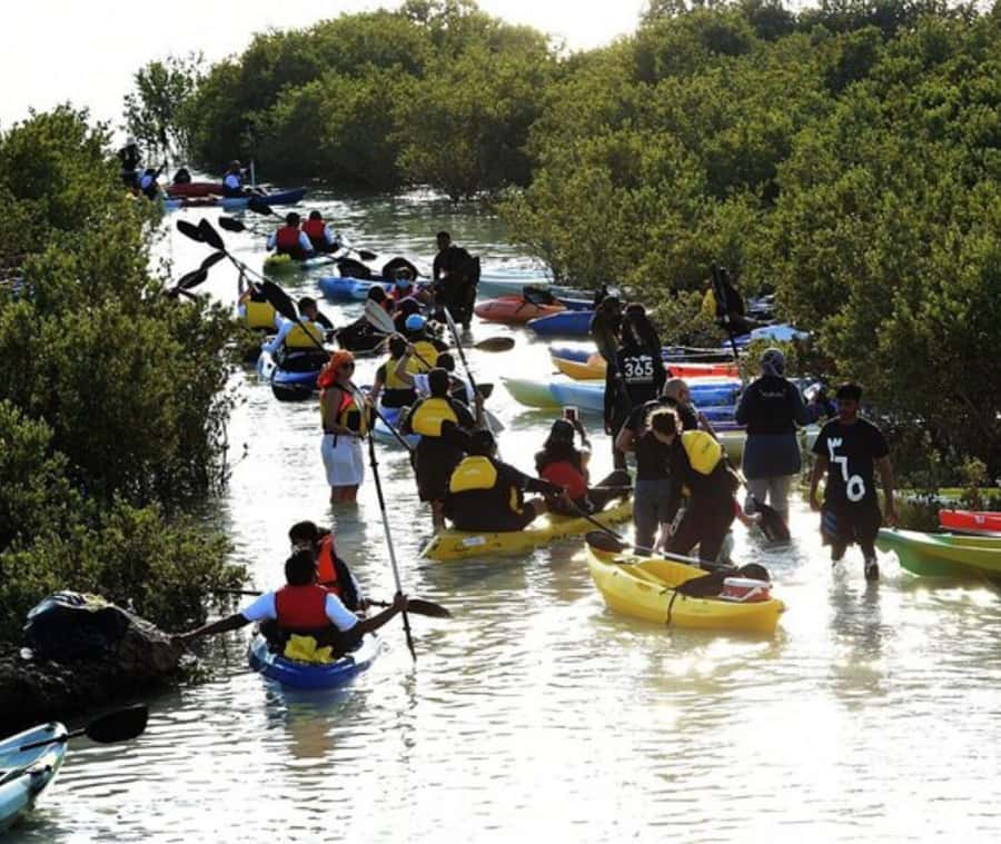 Qatar: Al Thakira Mangrove Forest Kayaking Tour - The one-hour drive in a private Jeep or SUV