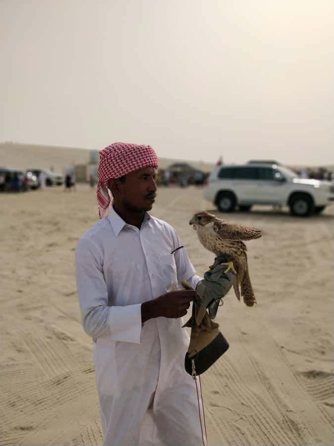 Qatar: Desert Safari, Camel Ride, Inland sea, Sandboarding - Optional quad biking: more speed, more responsibility