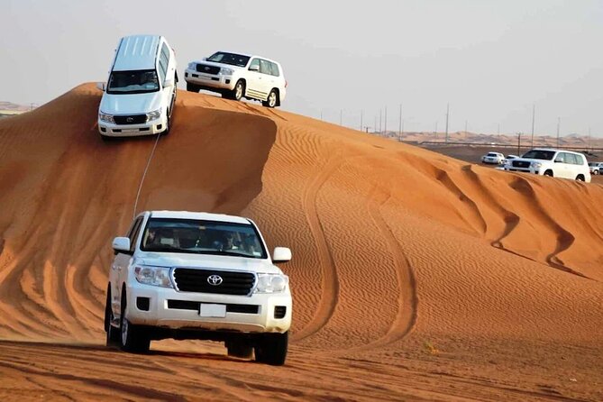 Qatar Desert Safari, Dune Bashing (Private Safari Tour) - A short camel stop with local tea