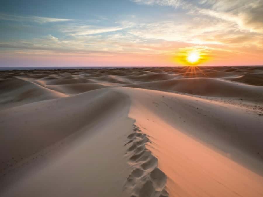 Qatar Desert Safari, Quad bike, Camel Ride and Sandboarding - Who will enjoy this private desert trip?