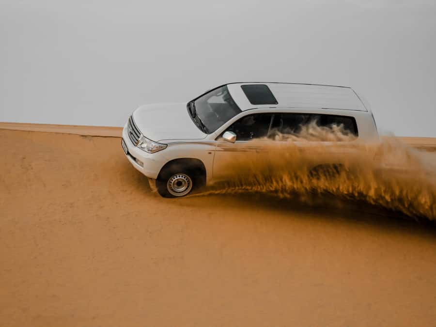 Qatar Desert Safari, Quad bike, Camel Ride and Sandboarding - Camel riding and quad biking: two very different tastes of the desert