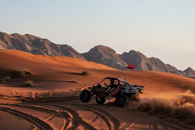 Qatar Desert Thrills Self Ride Dune Buggy Safari and Camel Ride - The camel ride is traditional but very brief