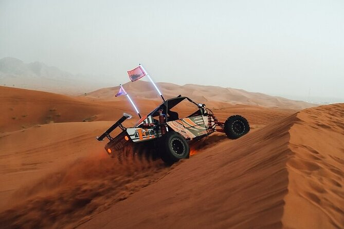 Qatar Desert Thrills Self Ride Dune Buggy Safari and Camel Ride - How the private format affects the experience