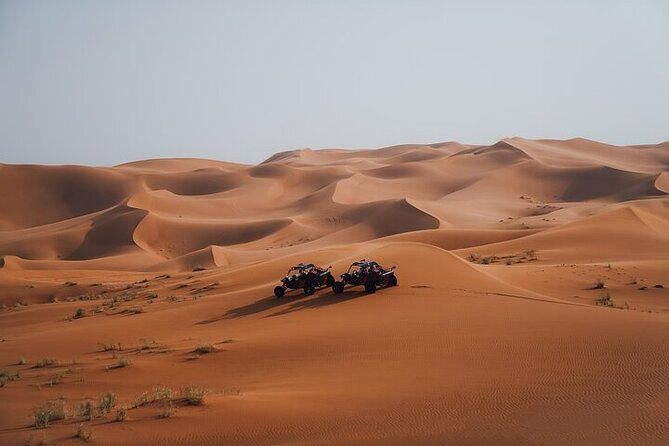 Qatar Desert Thrills Self Ride Dune Buggy Safari and Camel Ride - What the guides add